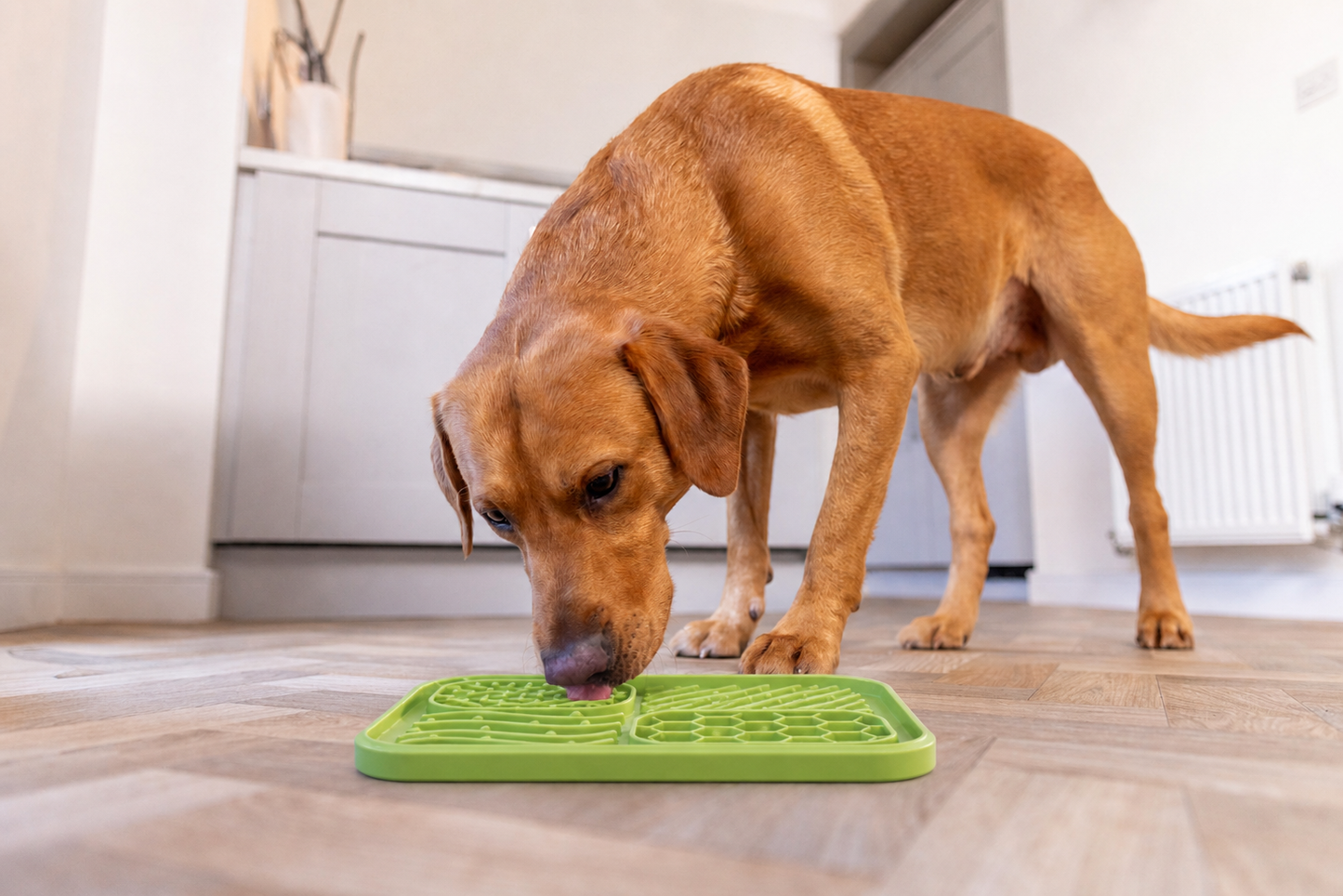 The Lickify Mat