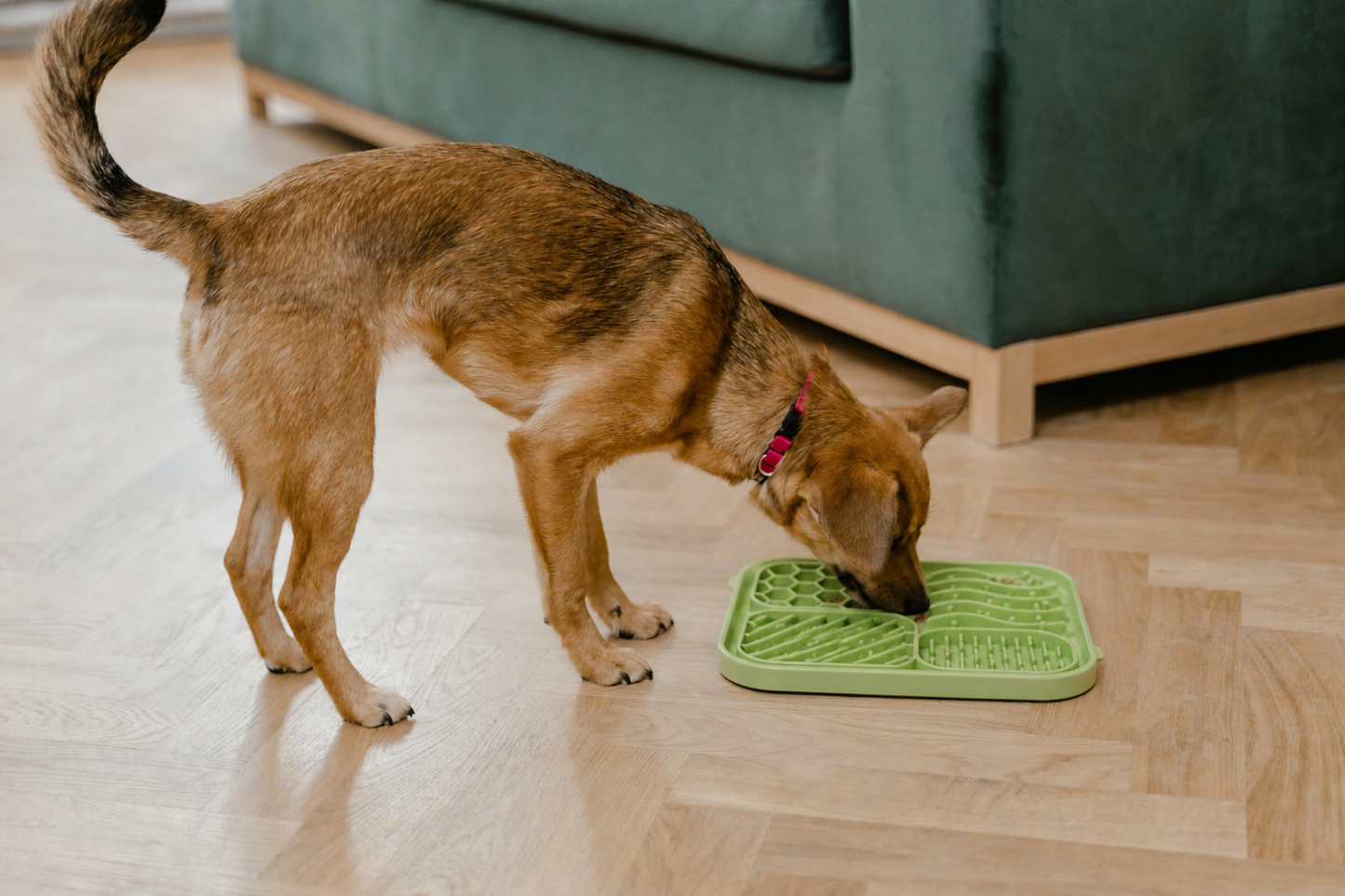 The Lickify Mat
